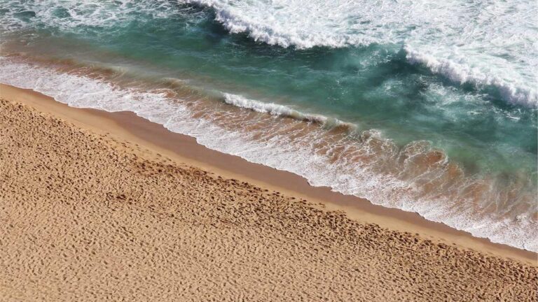 How To Watch Cricbet99 Com Live Matches?